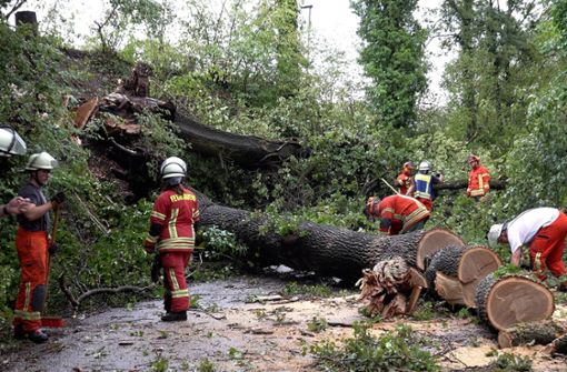 In Auenwald stürzten massive Bäume auf eine Straße, schweres Gerät kam zum Einsatz, um diese wieder freizubekommen. Foto: 7aktuell/Alexander Hald