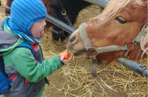 Der kleine Samuel liebt Pferde – im Rucksack trägt er die Pumpe, über die er ernährt wird. Foto:  