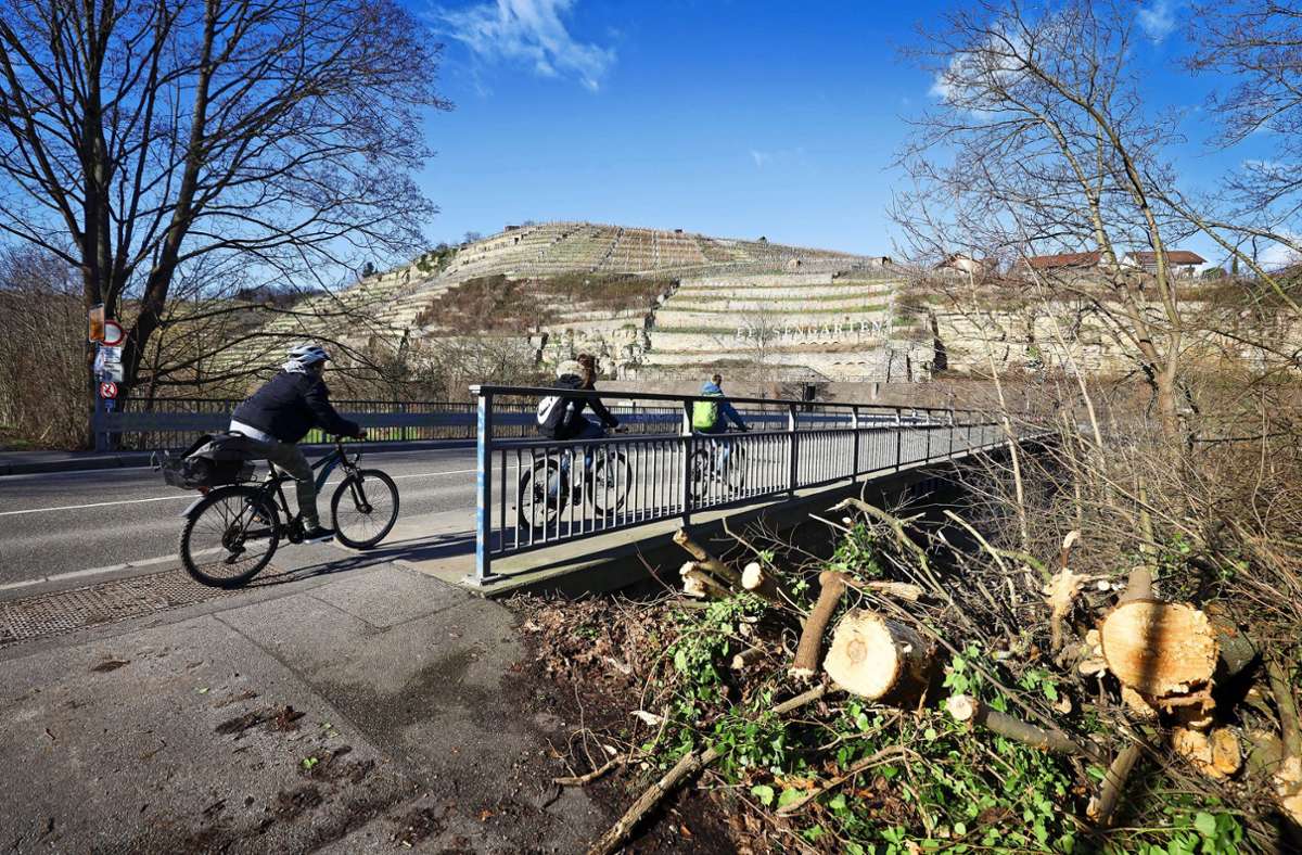 Radfahrer leben auf der Enzbrücke gefährlich. Foto: factum/Simon Granville