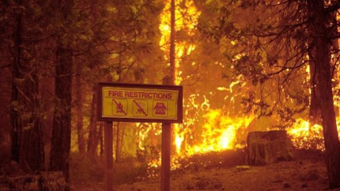 Waldbrände wüten in Kalifornien, Spanien und Portugal