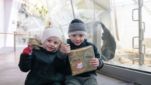 Geschenke packen für Gorillas und Bonobos