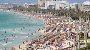 Gefährlicher Parasit auf Mallorca und Teneriffa entdeckt