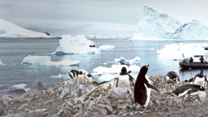 Globale Erwärmung heizt der Antarktis ein