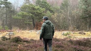 Ein Mitarbeiter des Forstkorps im Trentino untersucht ein Waldstück. Im Trentino leben durch ein erfolgreiches Wiederansiedlungsprojekt wieder Braunbären. Foto: Robert Messer/dpa