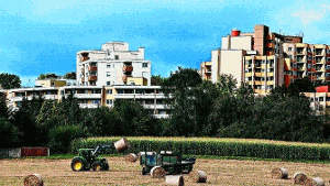 Kleine Nutzflächen - weitläufig verteilt: Landwirtschaft in der Großstadt ist eine besondere Herausforderung. Foto: Mierendorf