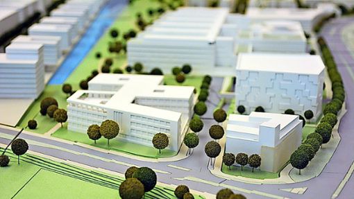 Modell der Zukunft: Im Hintergrund die Flugfeldklinik, rechts vorne Plana Küchenland, links daneben die geplante Psychiatrie. Foto: ZfP