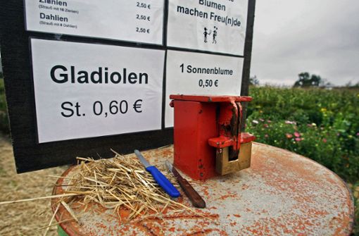 Die Betreiber von Verkaufsständen  und Blumenfeldern mit Selbstzahl-System wurden zu Opfern von Dieben. Foto: Horst Rudel
