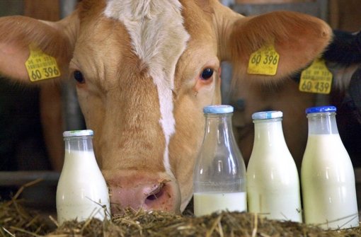 Die Milchpreise fallen weiter – die Bauern protestieren. Foto: dpa