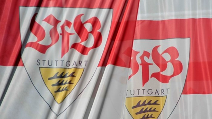Der VfB Stuttgart verpflichtet den Neuseeländer Marco Rojas