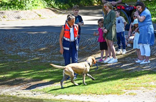 Die Rettungshundestaffel war eine der Attraktionen beim Sommerfest. Foto: Horst Dömötör