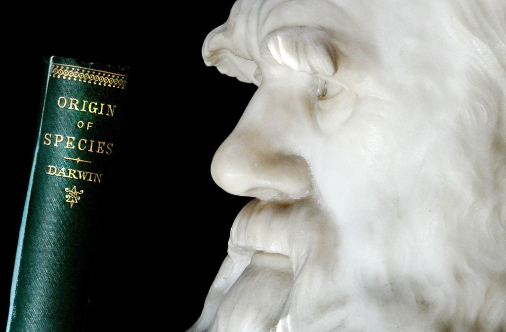 Eine Erstausgabe von Charles Darwins Buch „The Origin of Species“ von 1859 im Londoner Natural  History Museum. Das Opus Magnum des Vaters der Evolutionslehre ist einer der bedeutendsten Meilensteine in der Wissenschaftsgeschichte.