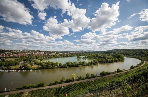 Von den Weinbergen aus hat man einen herrlichen Blick auf den  Neckar und den Max-Eyth-See Foto: Lichtgut/Christoph Schmidt