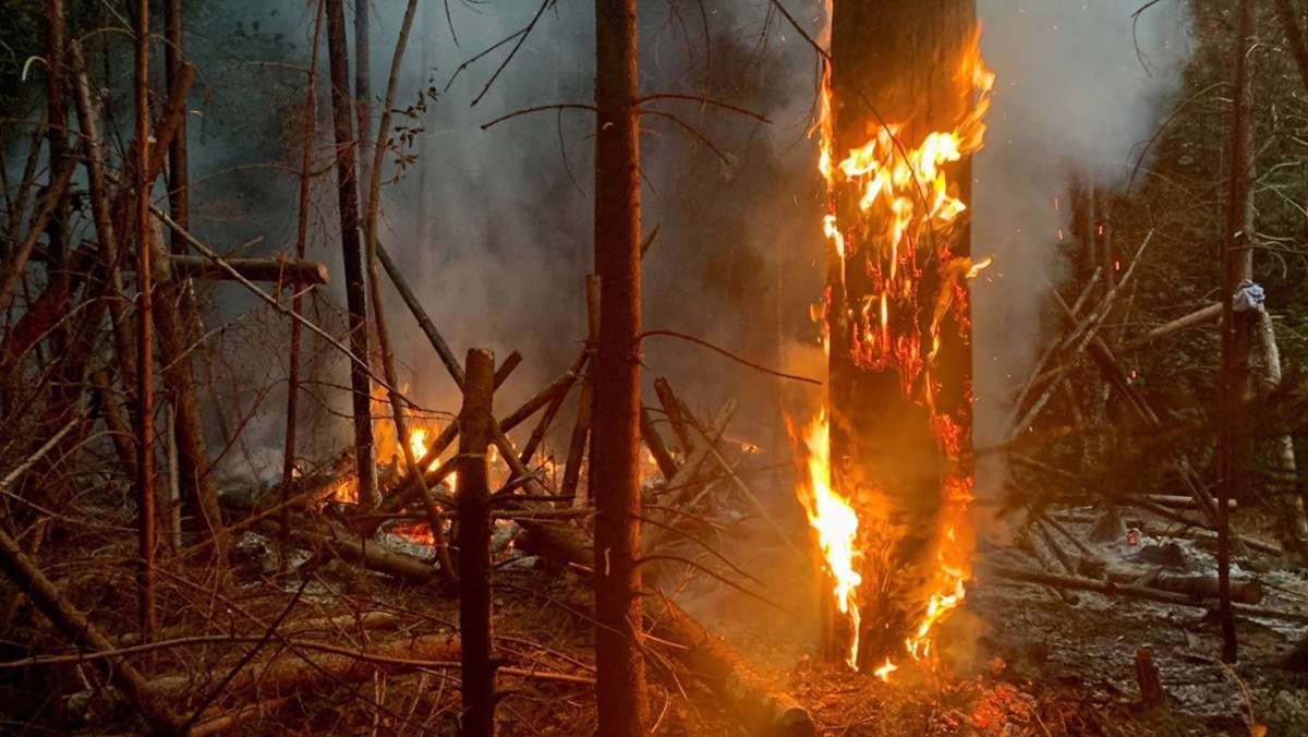Stuttgart-Süd: Lagerfeuer entfacht einen Waldbrand
