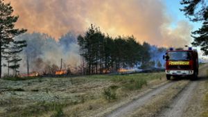 Auch in diesem Sommer lodern wieder unzählige gewaltige Feuer in Deutschlands Wäldern – wie hier bei Lübtheen im Juni. Foto: dpa/Thomas Schulz