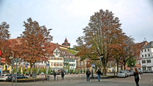Stadtbäume etwa   am Esslinger Marktplatz   haben kein leichtes Leben. Foto: Roberto Bulgrin