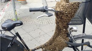 Hunderte Bienen bedecken Fahrrad