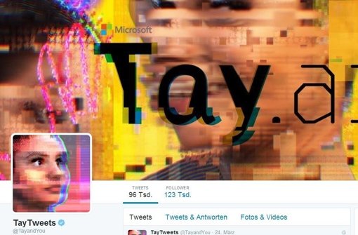 Microsoft stoppt den Chatroboter Tay bei Twitter nach knapp einem Tag. Foto: Screenshot StZ