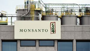 Internationale Organisationen wollen die geplante Übernahme  von Monsanto durch Bayer  noch verhindern.  Deshalb haben sie einen offenen Brief an die EU geschrieben. Foto: AFP