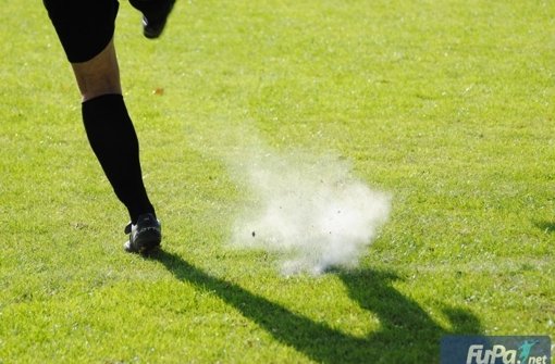 Der FV Ingersheim steigt trotz interner Querelen in die Landesliga auf. Foto: privat