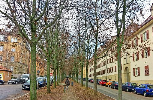 Eine der Flanierrouten durch den Osten führt durch die lange, gerade Mittelallee der Rotenbergstraße von der Friedenau bis hinauf zum Urachplatz. Foto: Jürgen Brand