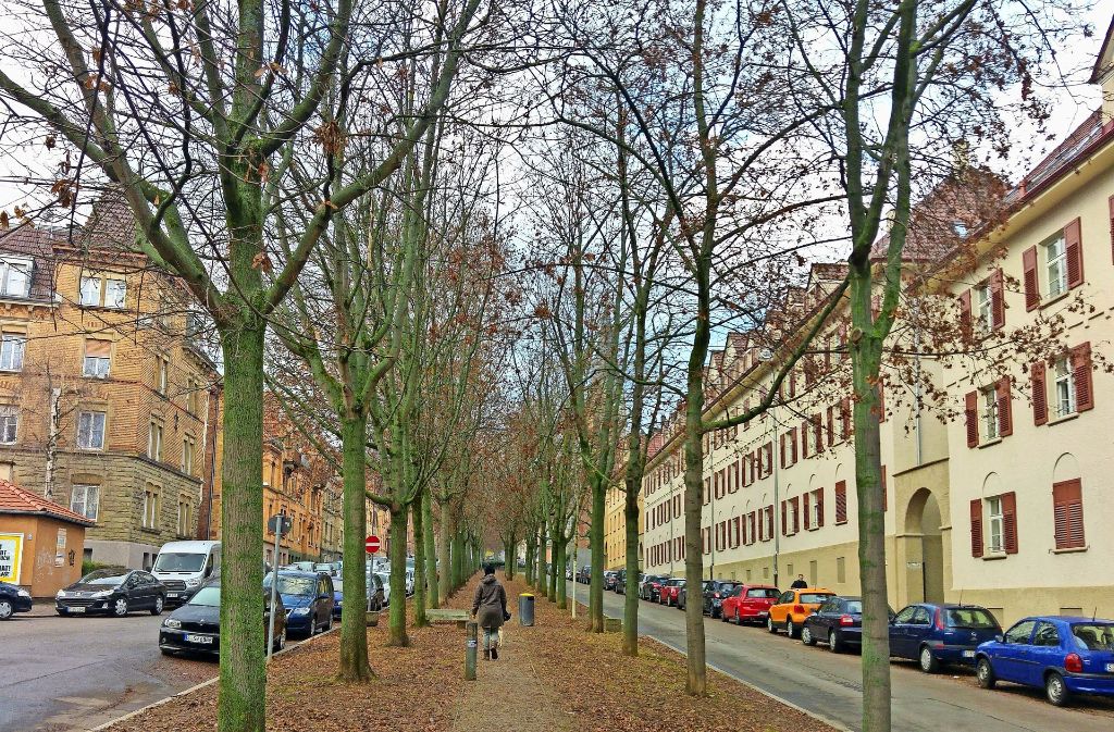 Eine der Flanierrouten durch den Osten führt durch die lange, gerade Mittelallee der Rotenbergstraße von der Friedenau bis hinauf zum Urachplatz.