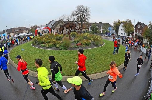 Der Bottwartal-Marathon ist der beliebteste Marathon Baden-Württembergs. Foto: Archiv (Werner Kuhnle)