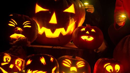 Kürbisse gehören für viele genauso zu Halloween wie Masken, Kostüme und Süßigkeiten. Foto: dpa/Patrick Pleul