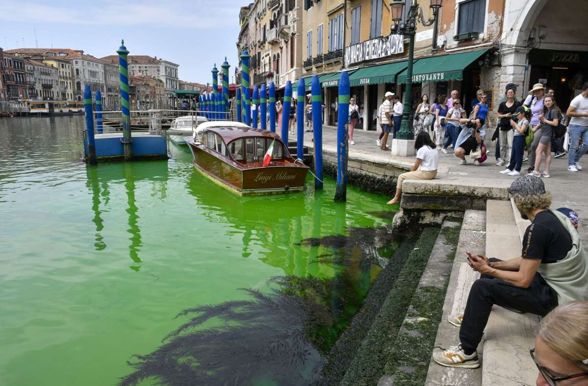 Eine grün schimmernde Flüssigkeit im berühmten Canal Grande von Venedig...