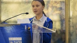 Greta Thunberg setzt sich für Nachhaltigkeit und Umweltschutz ein. (Archivbild) Foto: dpa/Mary Altaffer