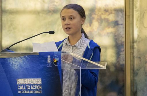 Greta Thunberg setzt sich für Nachhaltigkeit und Umweltschutz ein. (Archivbild) Foto: dpa/Mary Altaffer