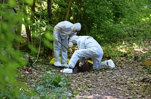 Wo die Leichen gefunden wurden: Spurensicherung Anfang Juni im Schlossgarten Foto: dpa