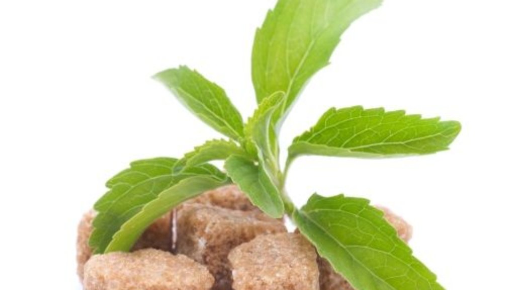 Stevia: Wunder-Süße ohne Kalorien