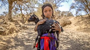 Die Dürre in Afrika hat bei vielen Menschen Mitleid ausgelöst: Das Spendenaufkommen in diesem Jahr  wird ansteigen. Foto: Unicef/Ayene, dpa