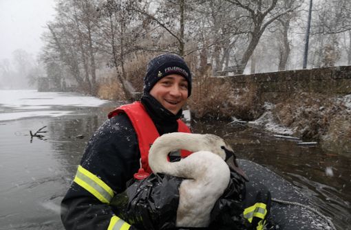 Der Feuerwehrmann Manuel Moz mit dem  geretteten   Schützling am Ufer des Monrepos-Sees Foto: Feuerwehr Ludwigsburg