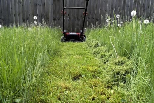 Muss das Gras an Himmelfahrt stehenbleiben? Foto: Ray Geiger / shutterstock.com