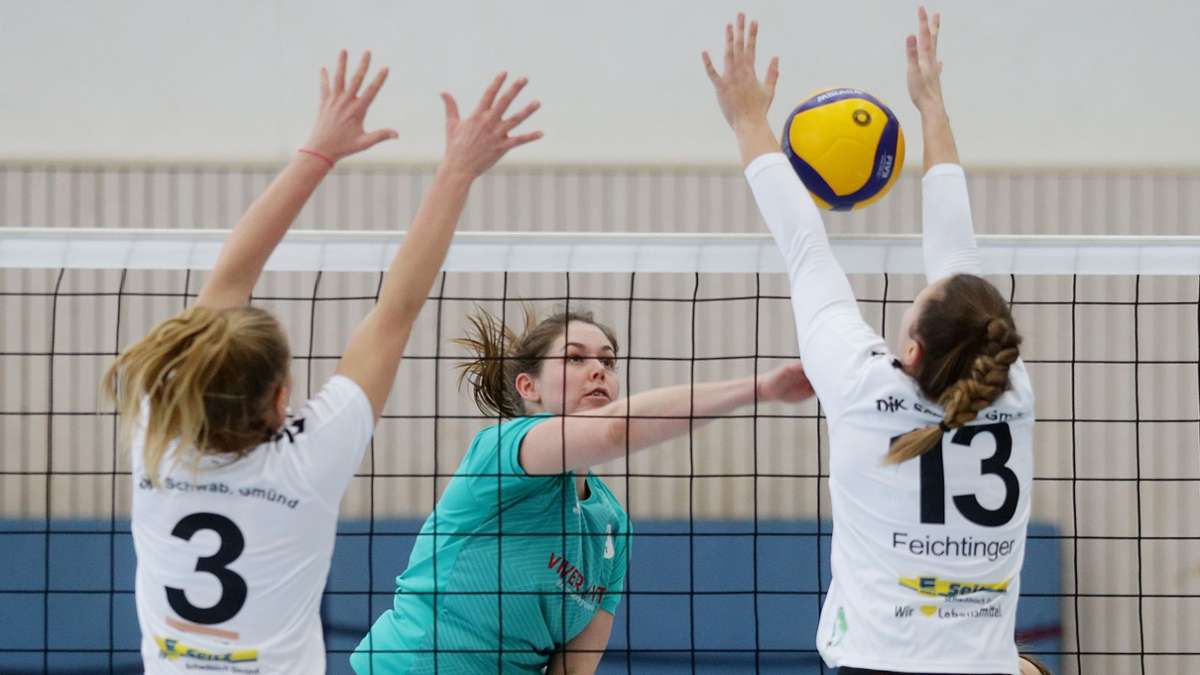 Volleyball Regionalliga: TSF Ditzingen wachen noch rechtzeitig auf