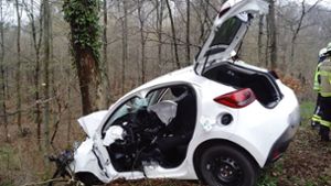 Auto kracht frontal gegen Baum – 22-Jähriger schwerst verletzt