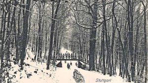Die Waldau-Schlittenbahn im  Jahr 1906 mit der Brücke im Wald,  von der heute nur noch die Stufen  geblieben ist. Foto: Sammlung Wolfgang Müller
