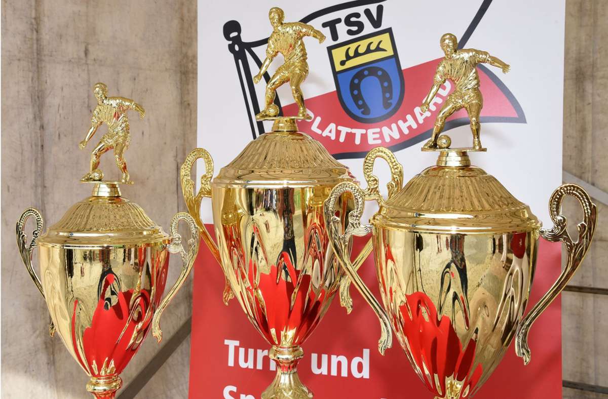 Nach drei Jahren Coronapause geht es beim TSV Plattenhardt erstmals wieder um Pfingstturnier-Pokale. Foto: Archiv Günter  Bergmann