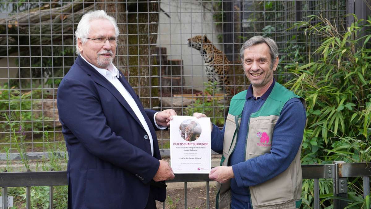 Wilhelma Stuttgart: Engagement für Jaguar-Kater