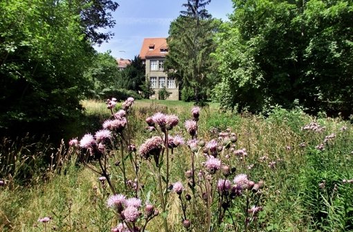 Die Merz-Akademie will ein Gebäude im Kulturpark Berg (Foto) mieten. Foto: Zweygarth