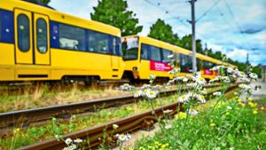 Verlängerung der SSB-Linie  U 13  bis Ditzingen: Darum investieren die SSB  rund 130 Millionen Euro