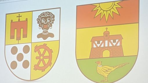 Die Abbildung einer schwarzen Person im historischen Wappen von Möhringen ist in die Kritik geraten. Nun soll es ein neues Wappenlogo geben. Foto: Alexandra Kratz