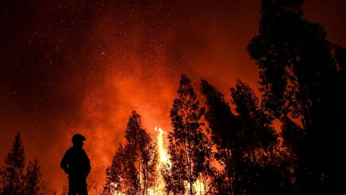 20 Verletzte bei ersten großen Waldbränden in diesem Jahr