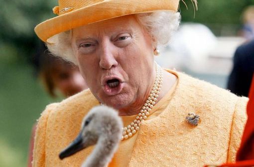 Die Queen von England und der designierte US-Präsident Trump verschmelzen in den Bildern von Michal Krauthammer zu einer Person. Foto: Screenshot Instagram/ogtrumpqueen