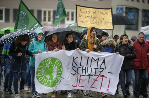 Auch im Rems-Murr-Kreis setzen sich Menschen für Klimaschutz ein. Foto: Stoppel