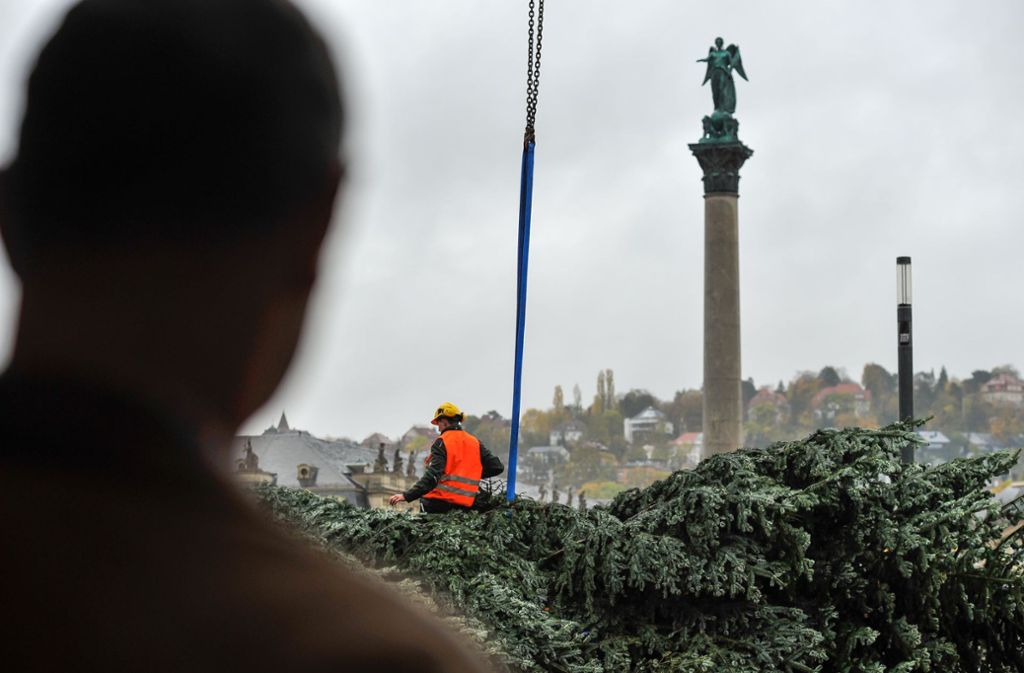Der Weihnachtsbaum ist auf dem Schlossplatz angekommen.
