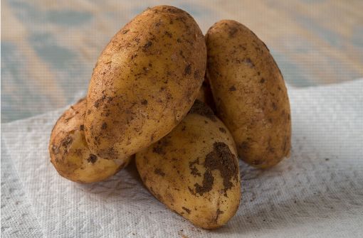Kartoffeln heißen mal „Grombiera“ und mal „Äbiera“. Foto: dpa