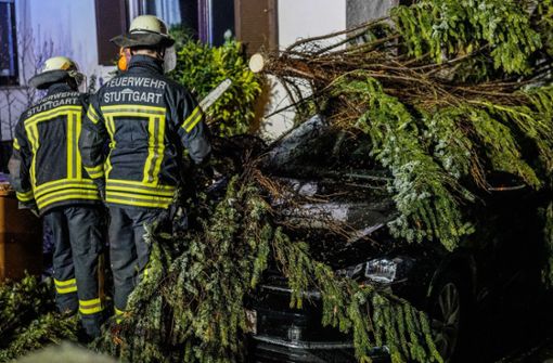 In Bad Cannstatt fiel ein Baum auf ein Auto. Foto: SDMG/Kohls