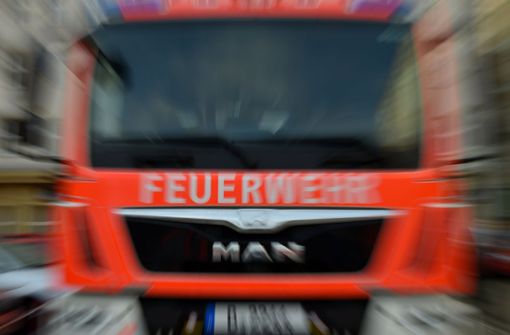 Die Feuerwehr bekämpft in Friedrichshafen einen Flächenbrand. Foto: dpa